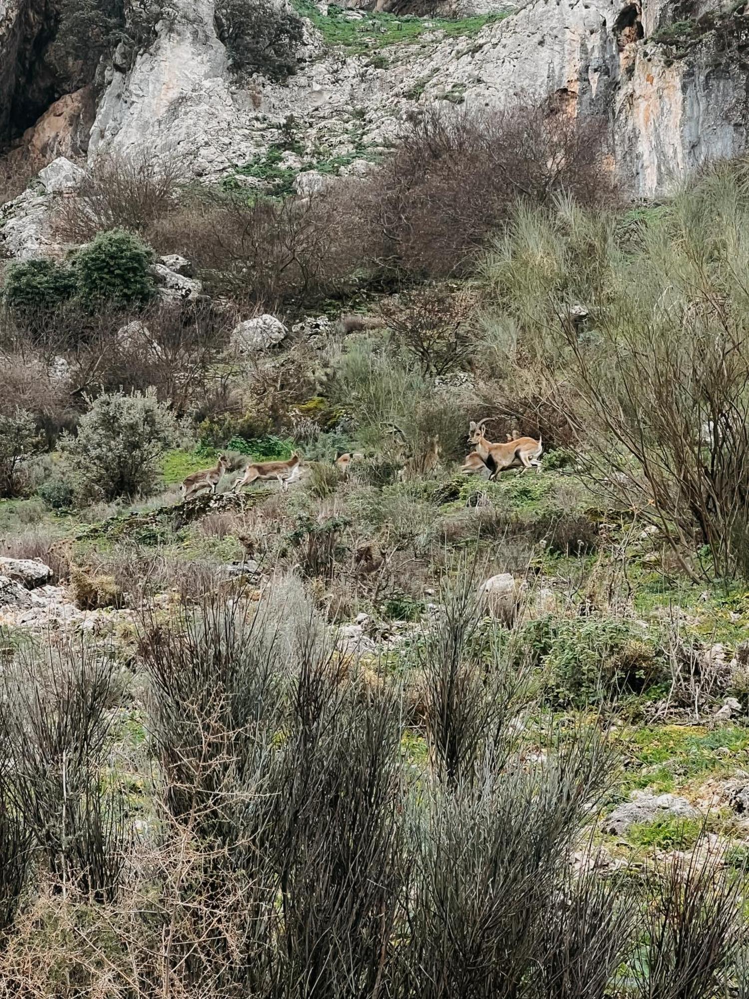 Capricho De Zuheros Buitenkant foto